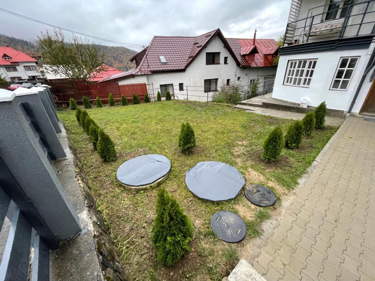 Appartement Gray Buşteni